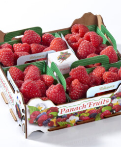 PLATEAU Panach' fruits